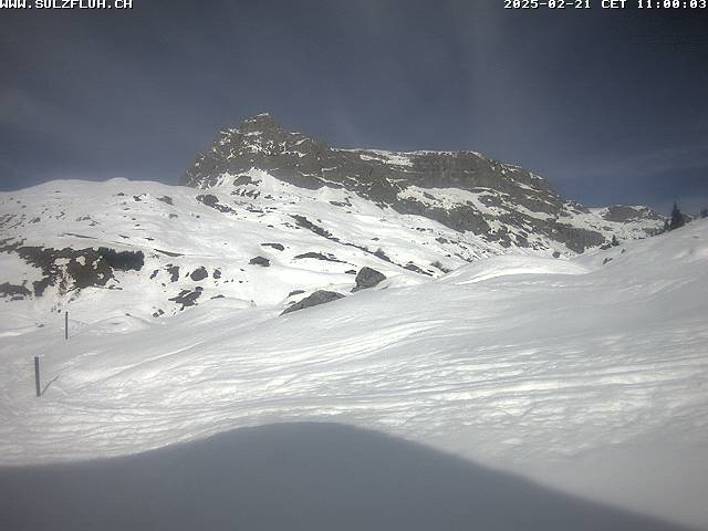 21.02.2025 11:00