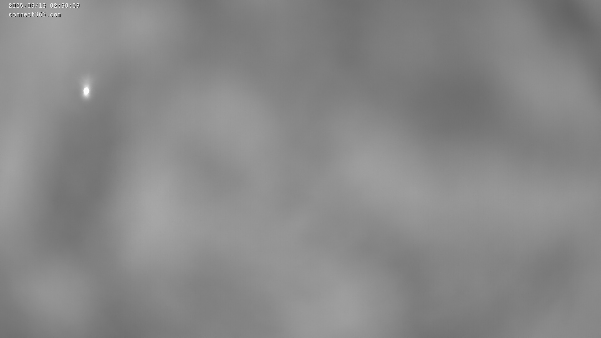 11h ago - 02:31