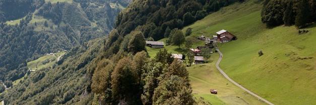 Nussbüel II