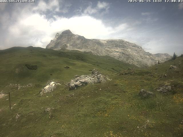 15.06.2025 12:00