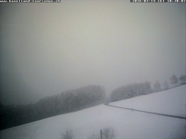 14.03.2026 12:07