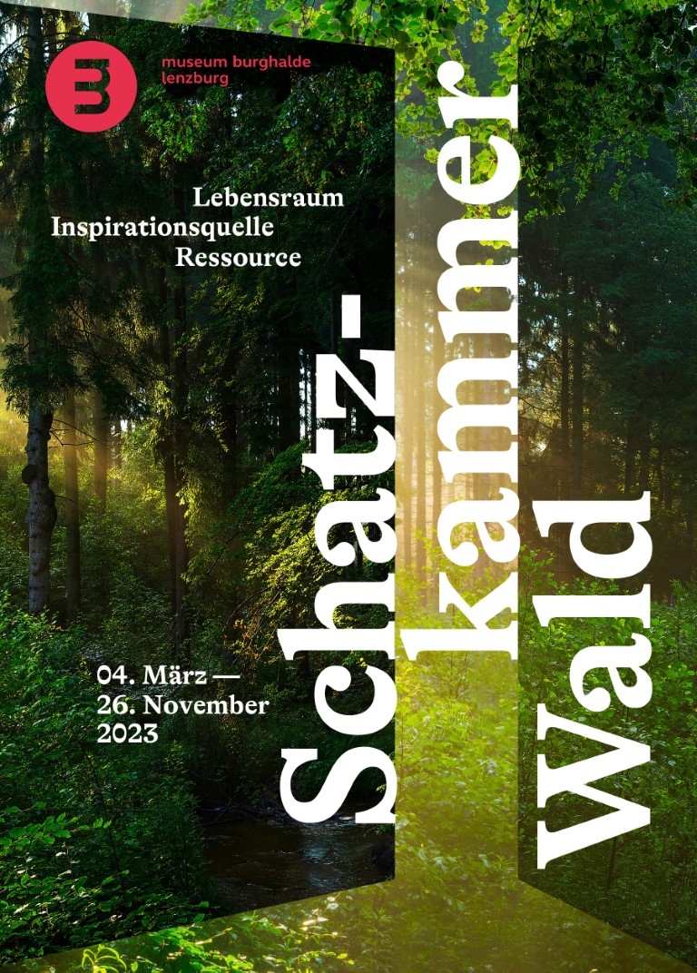 Schatzkammer Wald