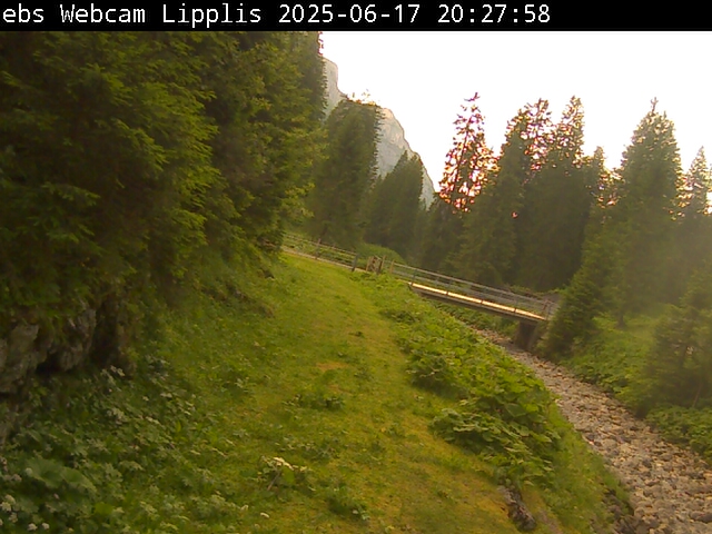 11h ago - 20:32