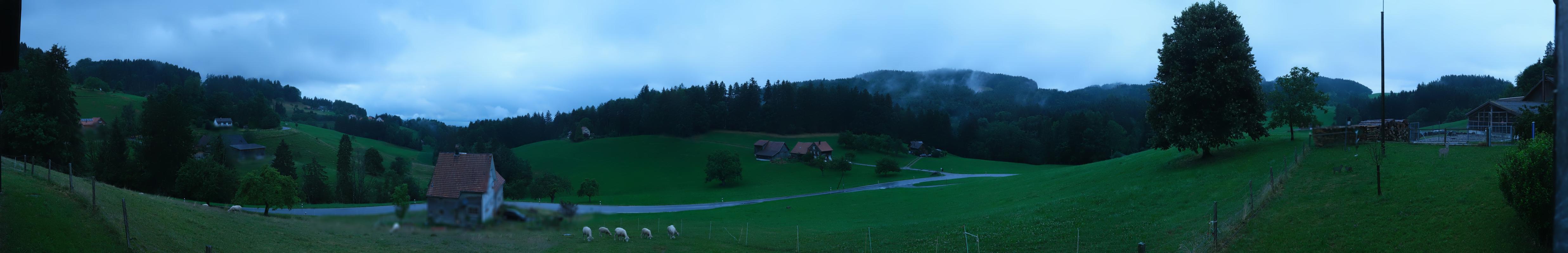 11h ago - 06:02
