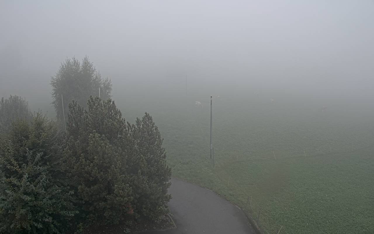 6h ago - 15:55