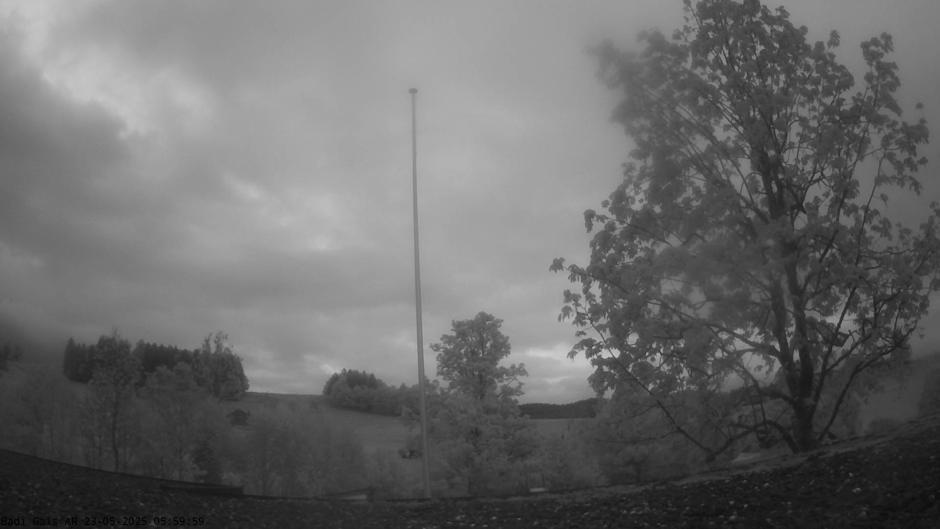 38h ago - 06:00