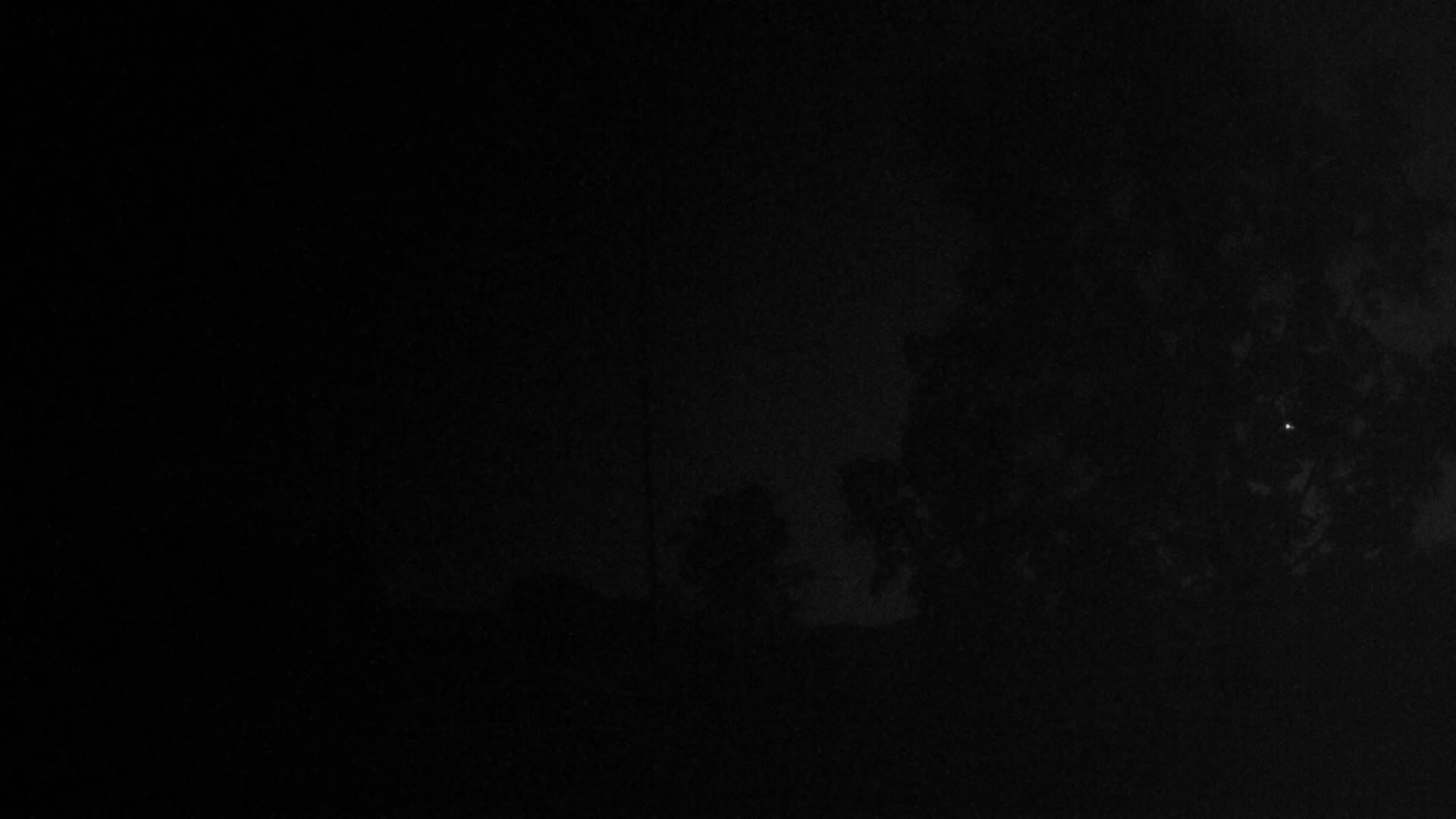 35h ago - 02:00