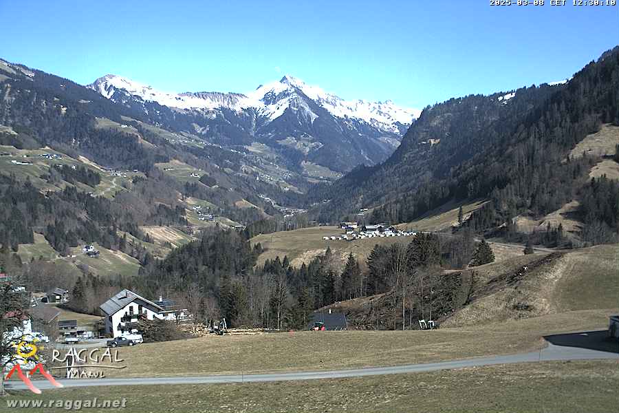 08.03.2025 12:30