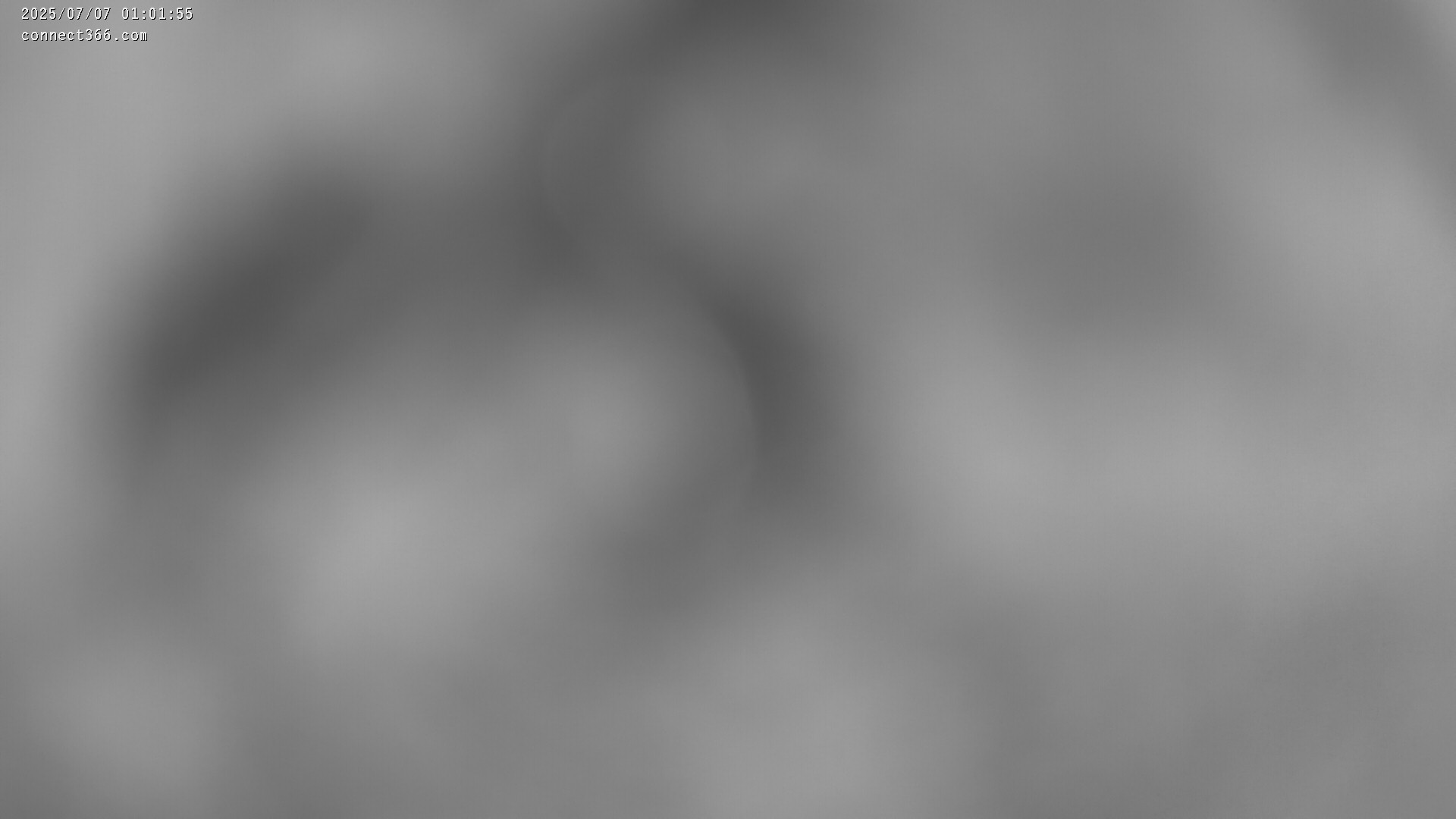 39h ago - 01:02