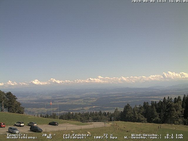 08.08.2019 16:05