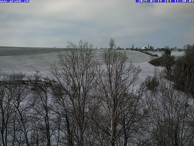 15.02.2025 12:07