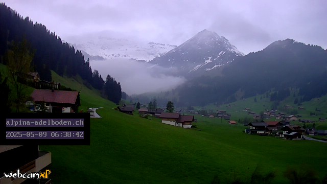 6h ago - 06:38
