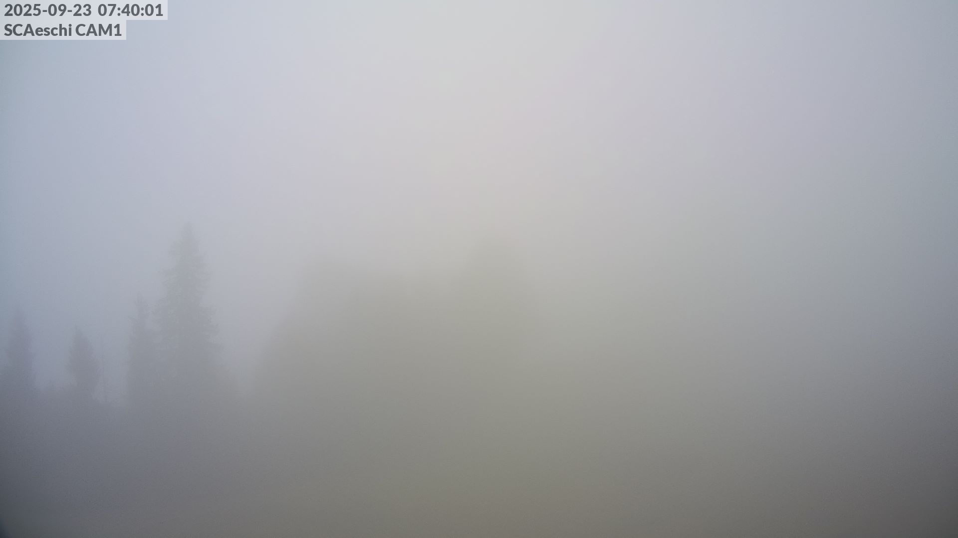 14h ago - 07:40
