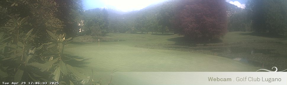 29.04.2025 12:06