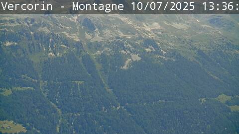 15h ago - 13:36