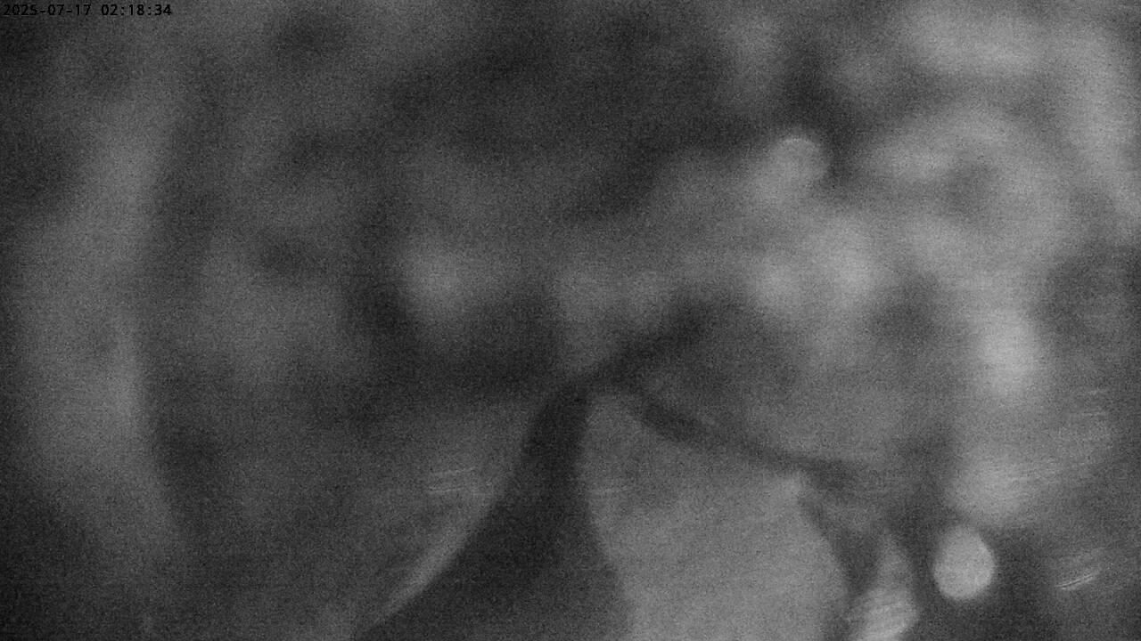 47h ago - 02:18
