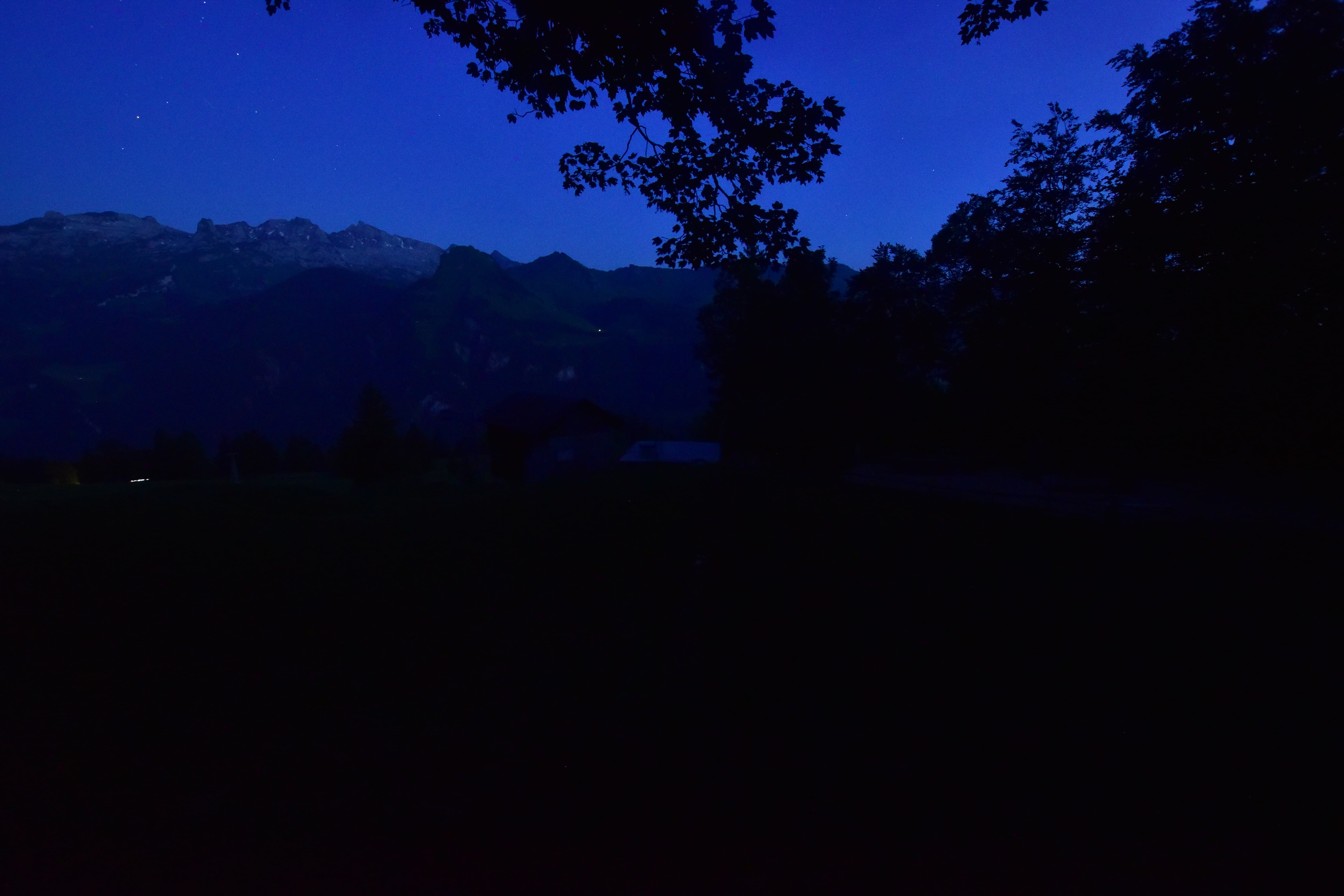8h ago - 22:31
