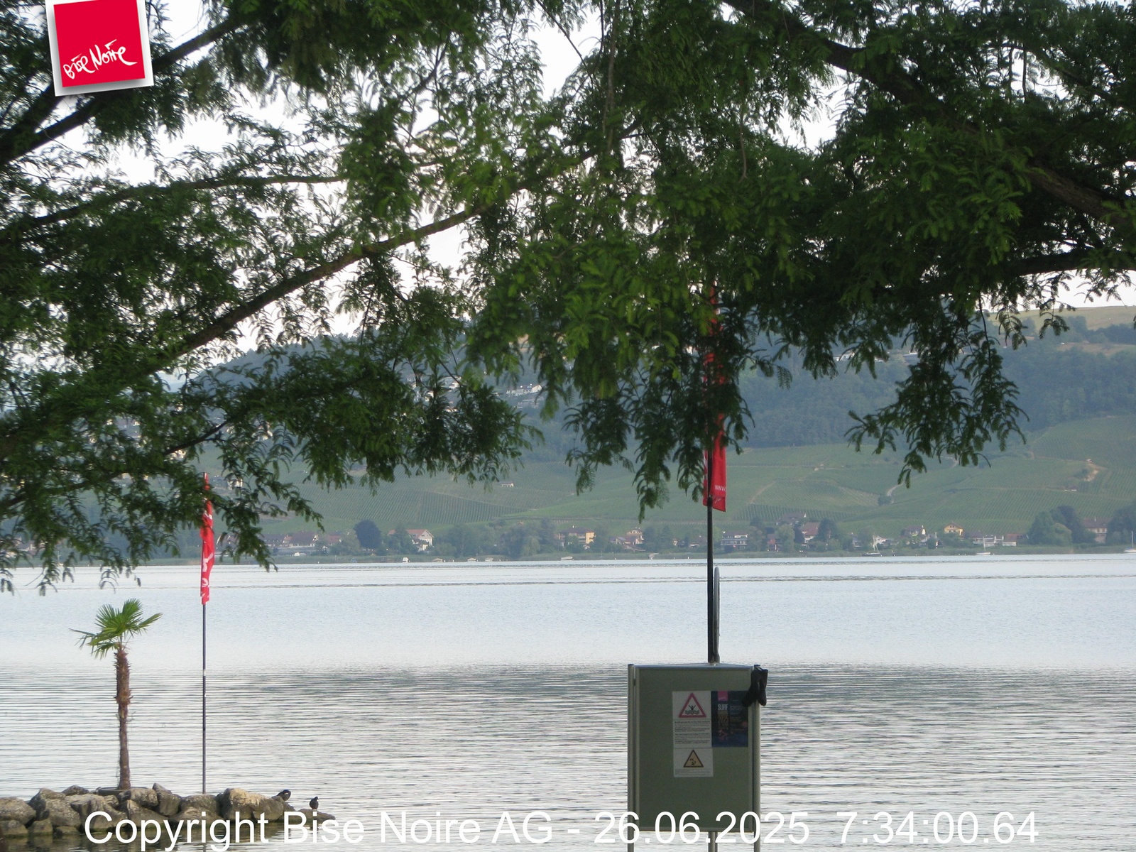 4h ago - 07:34