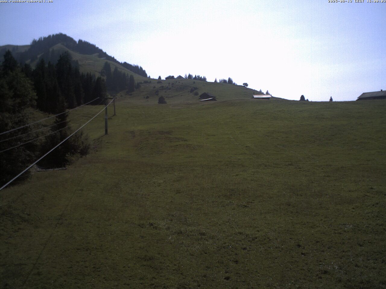 4h ago - 16:00