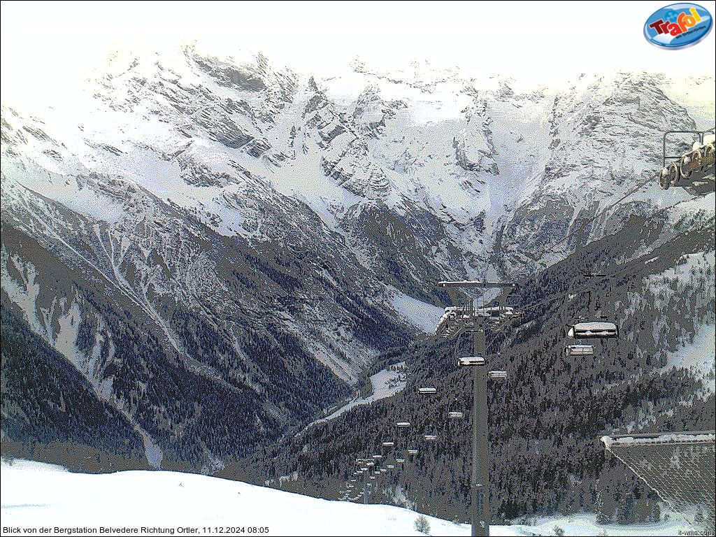 11.12.2024 08:05