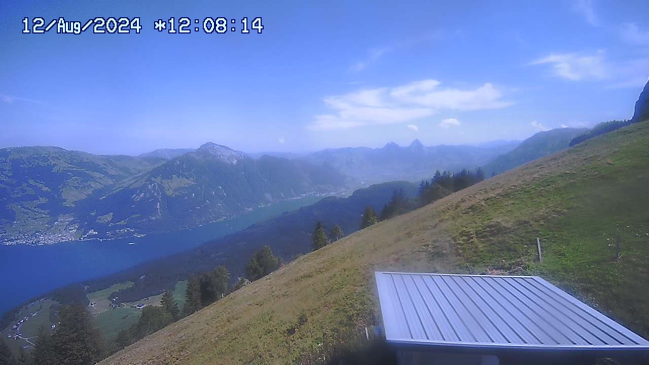 12.08.2024 12:01