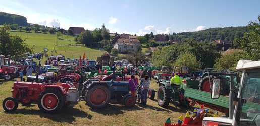 34. Oldtimertreffen Lüterswil - 1