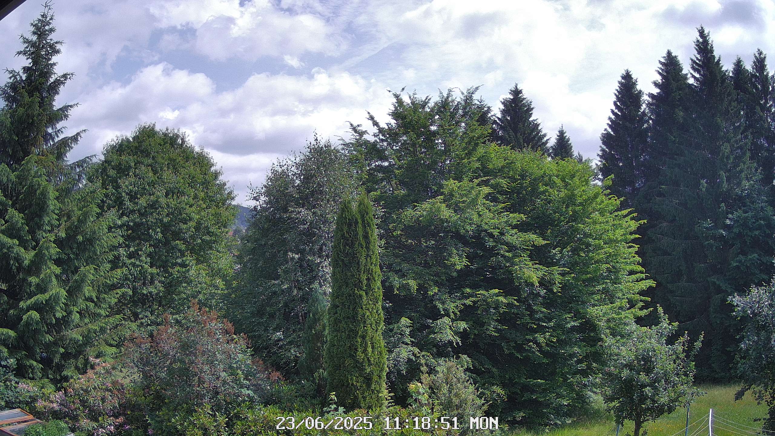 22h ago - 11:18