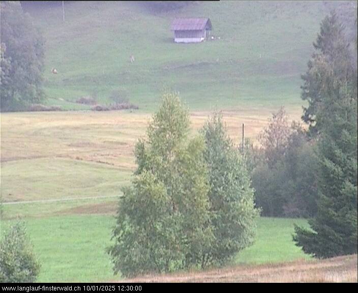 01.10.2025 12:10