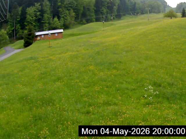 38h ago - 20:00