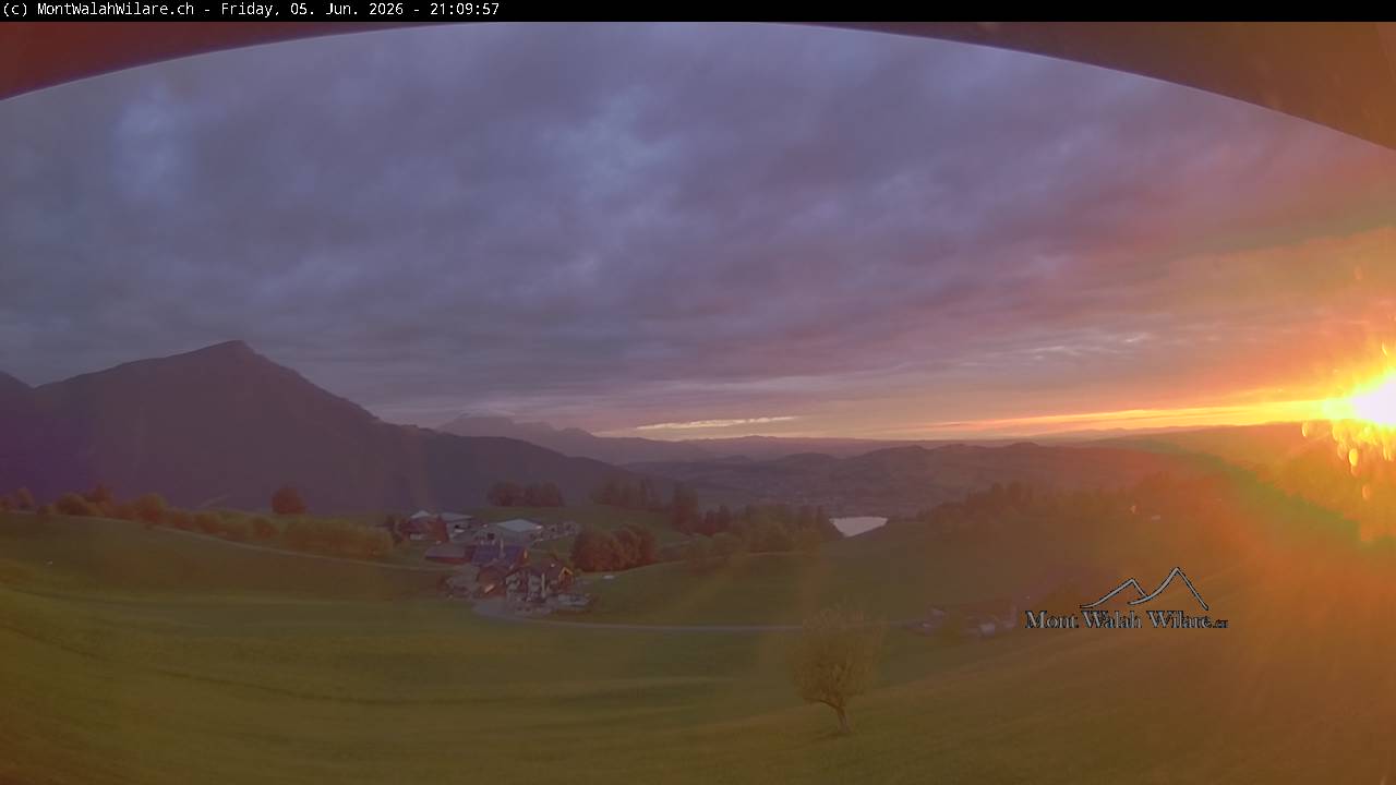 7h ago - 21:10