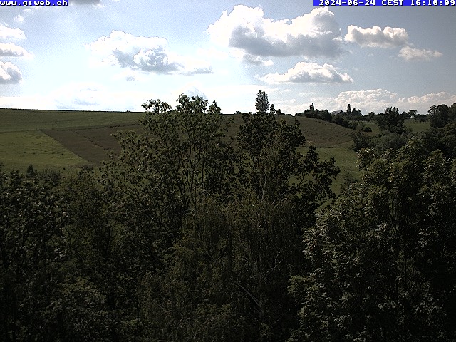 24.06.2024 16:35