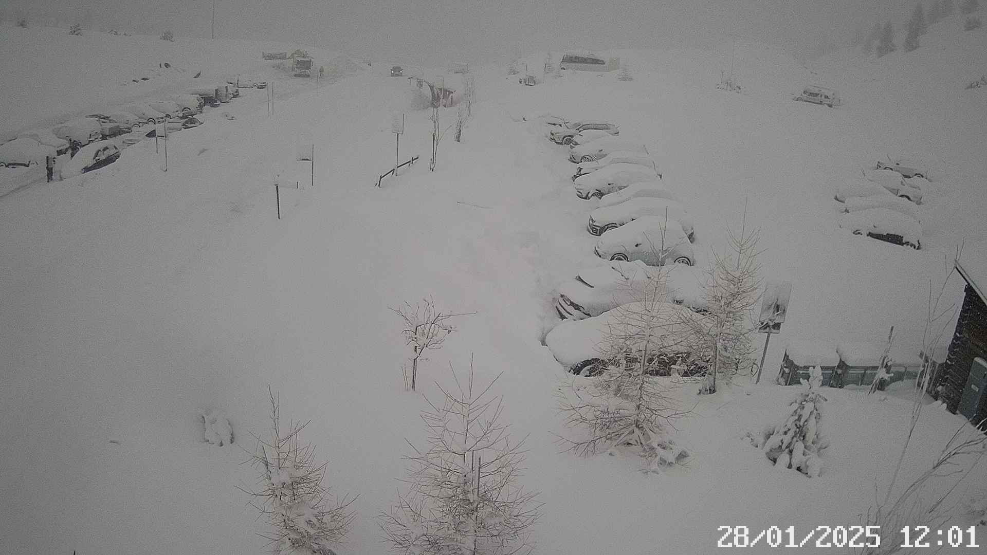 28.01.2025 12:02