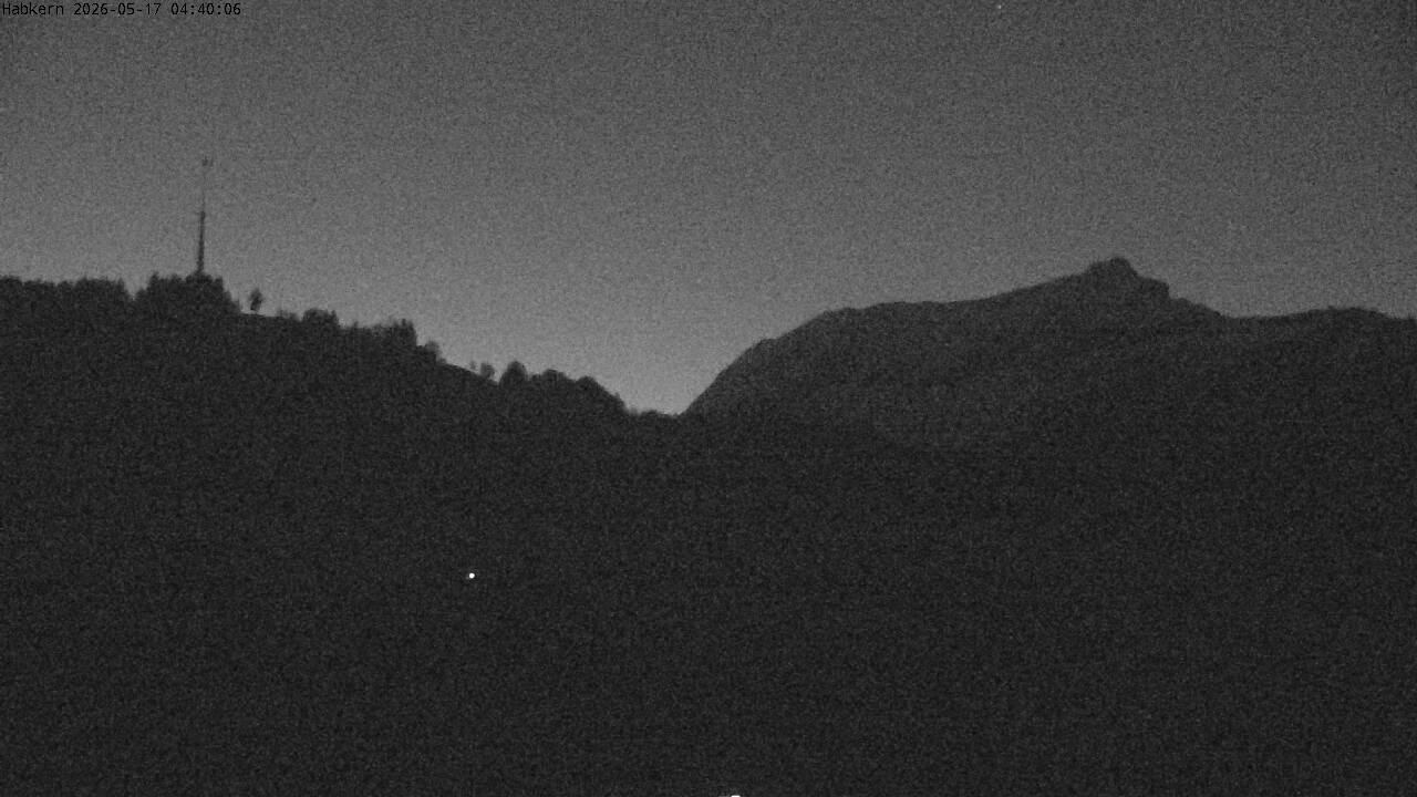 8h ago - 04:31