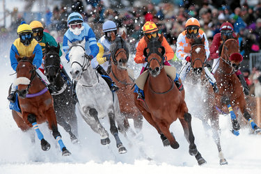 White Turf St. Moritz - International Horse Races on Snow since 1907 - 1