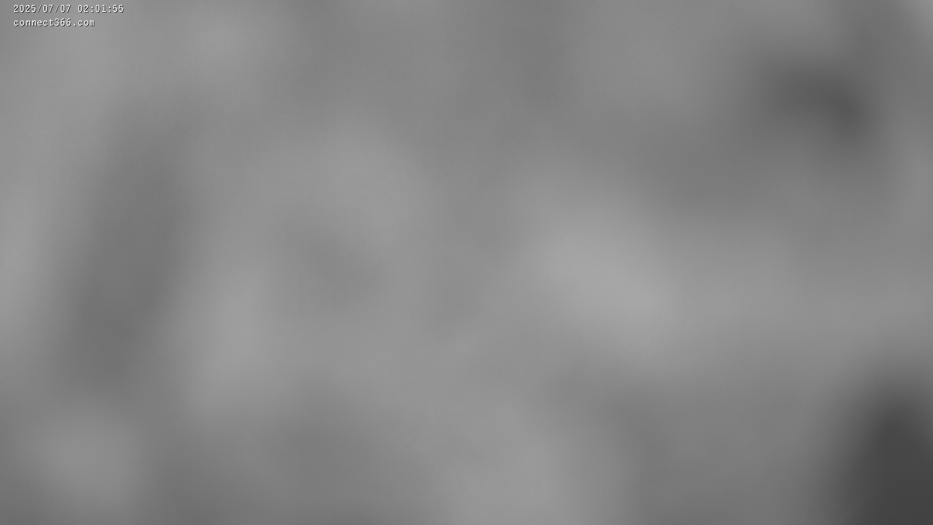 38h ago - 02:02