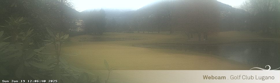 19.01.2025 12:06