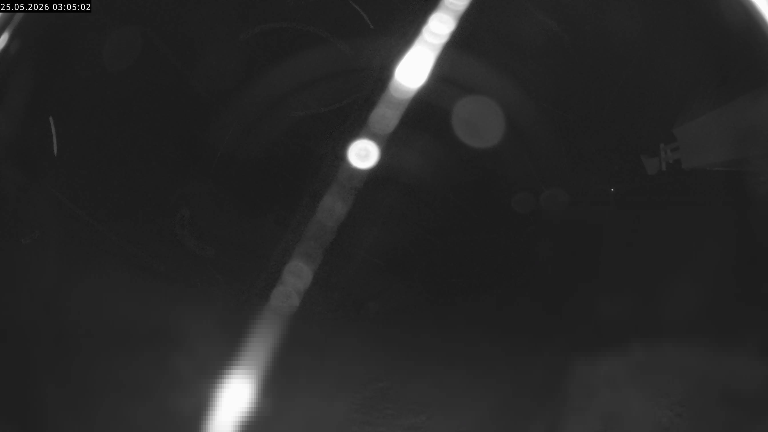 32h ago - 03:05