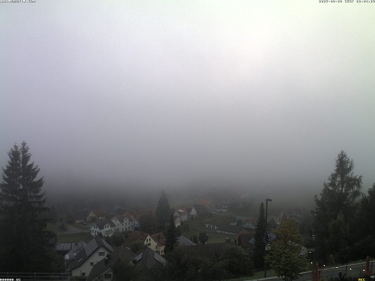 6h ago - 20:04