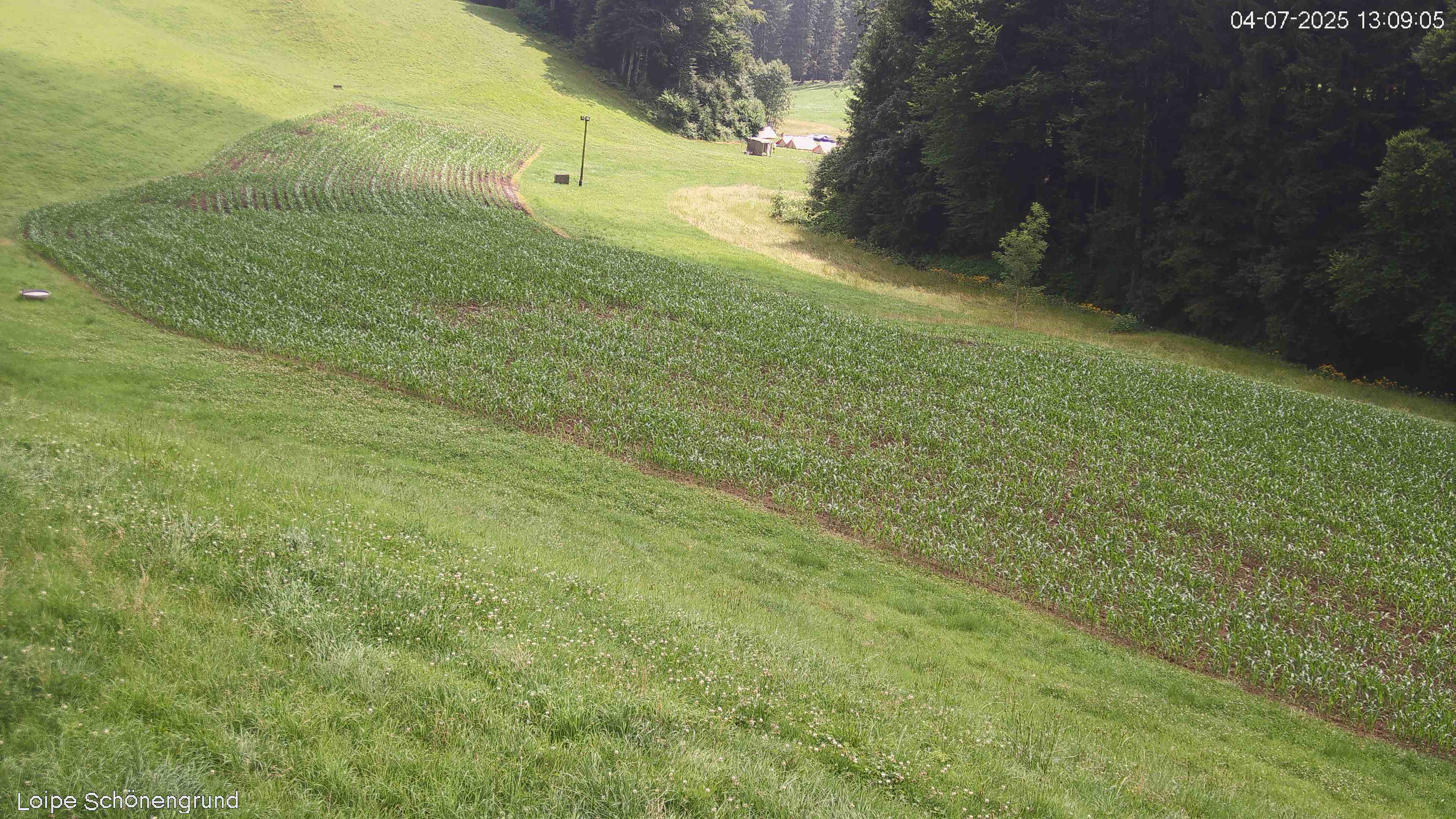 8h ago - 13:09