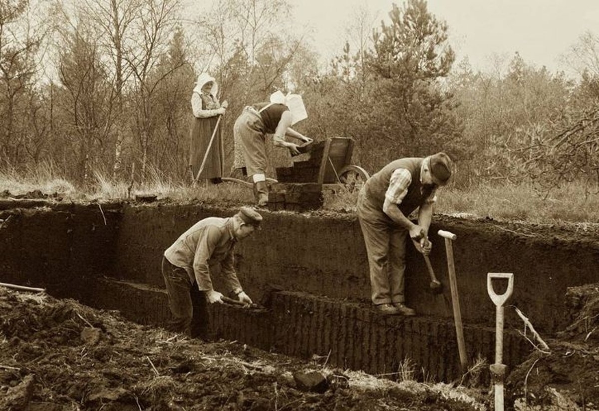Spaziergang ins Torfabbaugebiet