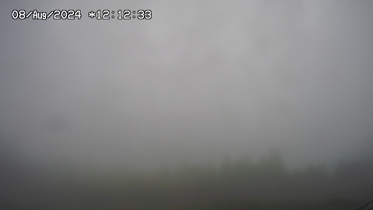 08.08.2024 12:01