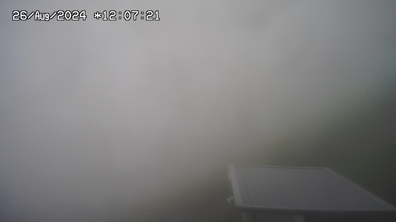 26.08.2024 12:01