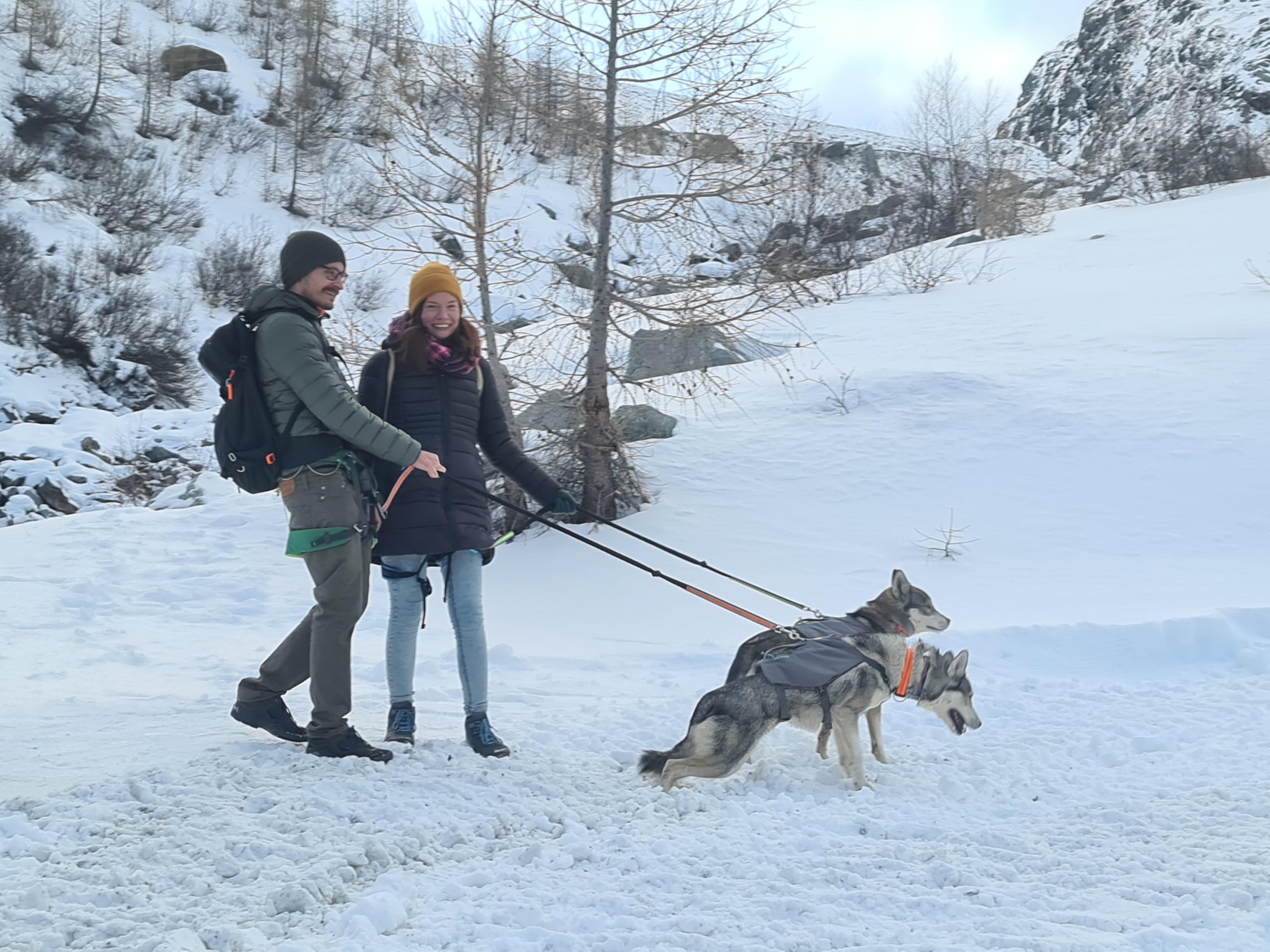 Husky Trekking Winter | Saas-Almagell