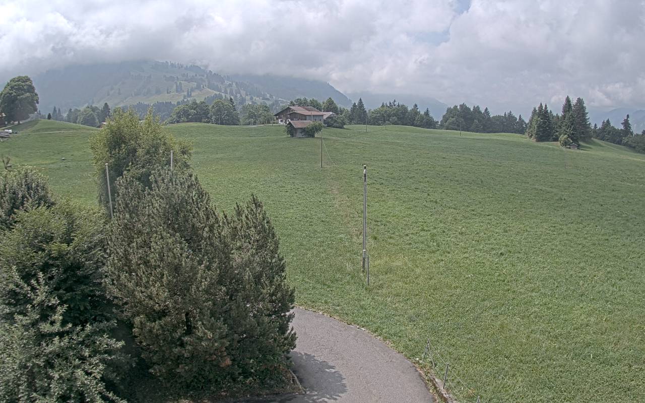 04.07.2025 12:10