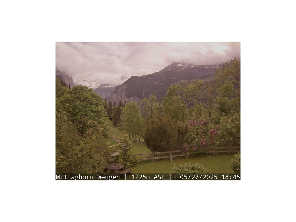 35h ago - 20:15