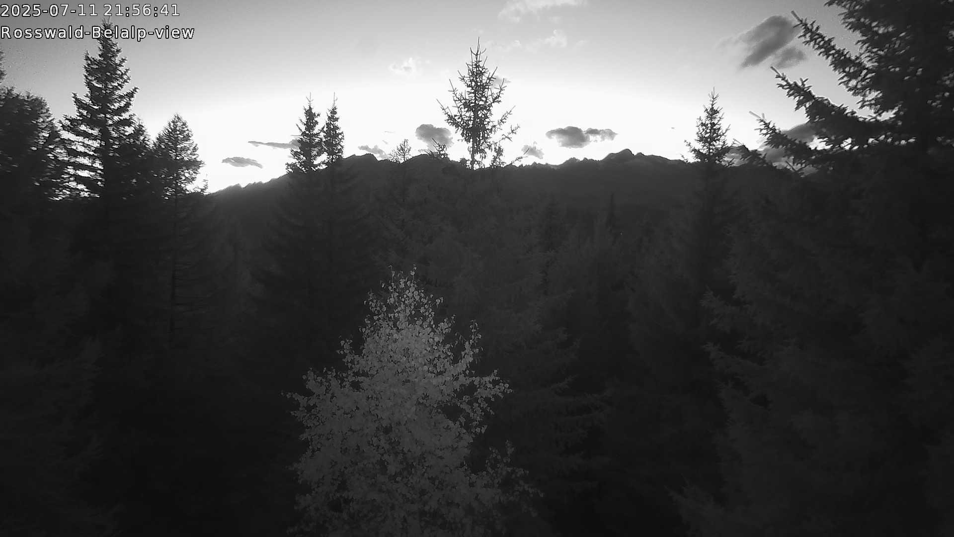 35h ago - 22:01