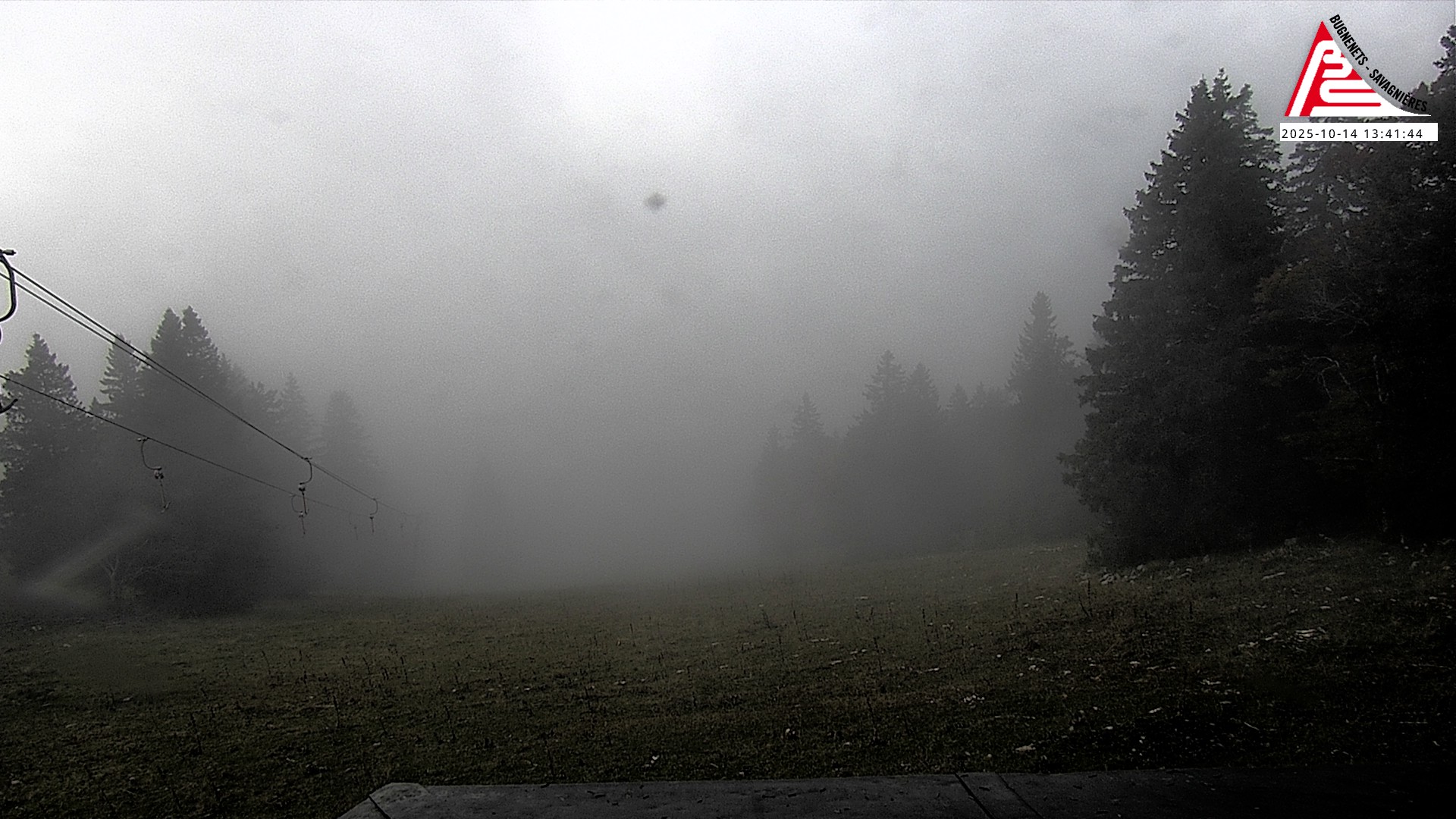 8h ago - 13:41