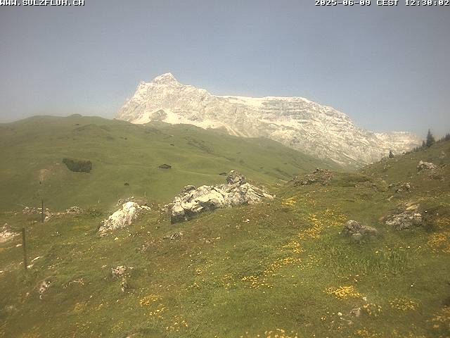 09.06.2025 12:30