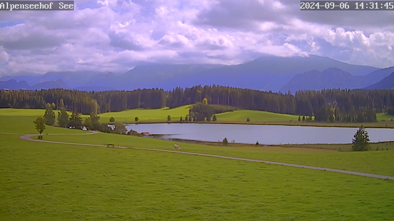 06.09.2024 14:31