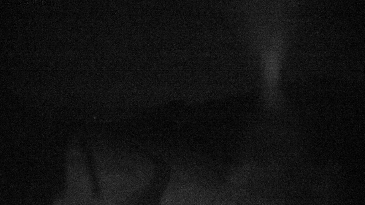 23h ago - 02:15